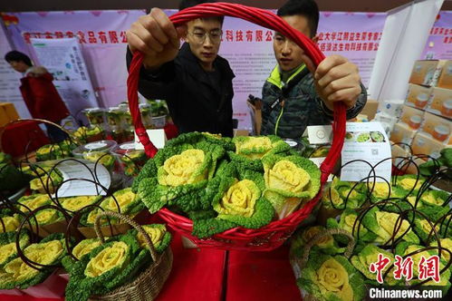 南京举办农业科技新成果新产品嘉年华 玫瑰白菜盆景蔬菜抢眼